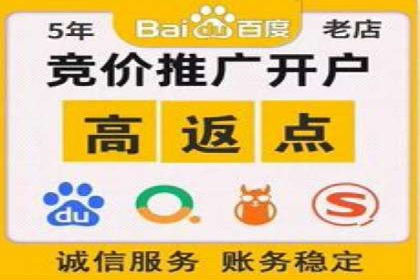 案例解析：SEM效果提升技巧